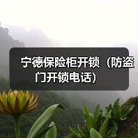 宁德保险柜开锁(防盗门开锁电话)(图4) 宁德保险柜开锁(防盗门开锁电话)(图4)