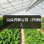 汕头开锁公司(开换锁)(图1) 汕头开锁公司(开换锁)(图1)