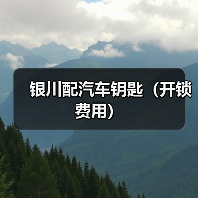 银川配汽车钥匙(开锁费用)(图2) 银川配汽车钥匙(开锁费用)(图2)