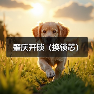 肇庆开锁（换锁芯）（图2）