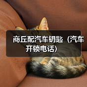 商丘配汽车钥匙(汽车开锁电话)(图4) 商丘配汽车钥匙(汽车开锁电话)(图4)