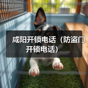 咸阳开锁电话(防盗门开锁电话)(图1) 咸阳开锁电话(防盗门开锁电话)(图1)