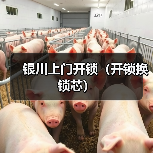 银川上门开锁(开锁换锁芯)(图4) 银川上门开锁(开锁换锁芯)(图4)