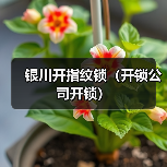 银川开指纹锁(开锁公司开锁)(图1) 银川开指纹锁(开锁公司开锁)(图1)
