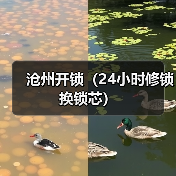 沧州开锁(24小时修锁换锁芯)(图3) 沧州开锁(24小时修锁换锁芯)(图3)
