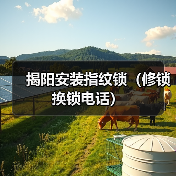 揭阳安装指纹锁(修锁换锁电话)(图4) 揭阳安装指纹锁(修锁换锁电话)(图4)
