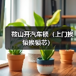 鞍山开汽车锁(上门换锁换锁芯)(图4) 鞍山开汽车锁(上门换锁换锁芯)(图4)