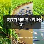 安庆开锁电话(专业换锁)(图1) 安庆开锁电话(专业换锁)(图1)