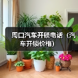 周口汽车开锁电话(汽车开锁价格)(图1) 周口汽车开锁电话(汽车开锁价格)(图1)