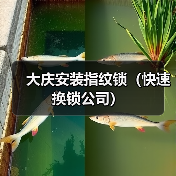 大庆安装指纹锁(快速换锁公司)(图1) 大庆安装指纹锁(快速换锁公司)(图1)