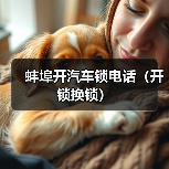 蚌埠开汽车锁电话(开锁换锁)(图3) 蚌埠开汽车锁电话(开锁换锁)(图3)