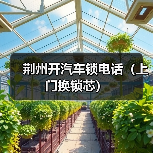 荆州开汽车锁电话(上门换锁芯)(图4) 荆州开汽车锁电话(上门换锁芯)(图4)