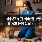 桂林汽车开锁电话(专业汽车开锁公司)(图1) 桂林汽车开锁电话(专业汽车开锁公司)(图1)