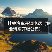 桂林汽车开锁电话(专业汽车开锁公司)(图4) 桂林汽车开锁电话(专业汽车开锁公司)(图4)