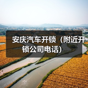 安庆汽车开锁（附近开锁公司电话）（图4）