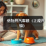 岳阳开汽车锁(正规开锁)(图4) 岳阳开汽车锁(正规开锁)(图4)