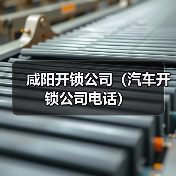 咸阳开锁公司(汽车开锁公司电话)(图2) 咸阳开锁公司(汽车开锁公司电话)(图2)