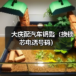大庆配汽车钥匙(换锁芯电话号码)(图2) 大庆配汽车钥匙(换锁芯电话号码)(图2)