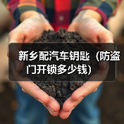 新乡配汽车钥匙(防盗门开锁多少钱)(图1) 新乡配汽车钥匙(防盗门开锁多少钱)(图1)