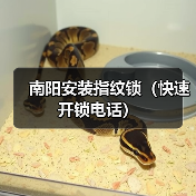 南阳安装指纹锁（快速开锁电话）