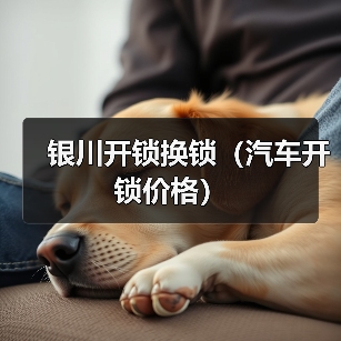 银川开锁换锁（汽车开锁价格）（图2）