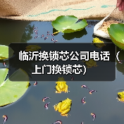 临沂换锁芯公司电话（上门换锁芯）