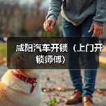 咸阳汽车开锁（上门开锁师傅）