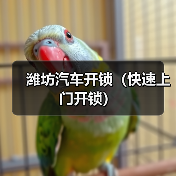 潍坊汽车开锁(快速上门开锁)(图4) 潍坊汽车开锁(快速上门开锁)(图4)