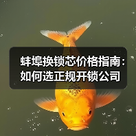 蚌埠换锁芯价格指南:如何选正规开锁公司(图3) 蚌埠换锁芯价格指南:如何选正规开锁公司(图3)