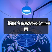揭阳汽车配钥匙安全指南（图2）