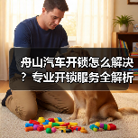 舟山汽车开锁怎么解决?专业开锁服务全解析(图4) 舟山汽车开锁怎么解决?专业开锁服务全解析(图4)
