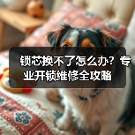 锁芯换不了怎么办？专业开锁维修全攻略（图4）