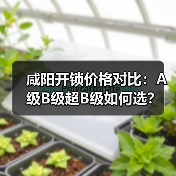 咸阳开锁价格对比:A级B级超B级如何选?(图4) 咸阳开锁价格对比:A级B级超B级如何选?(图4)