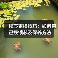 锁芯更换技巧:如何自己换锁芯及保养方法(图4) 锁芯更换技巧:如何自己换锁芯及保养方法(图4)