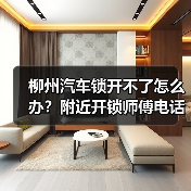 柳州汽车锁开不了怎么办？附近开锁师傅电话及防盗锁芯级别解析（图2）