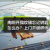 南阳开指纹锁忘记钥匙怎么办？上门开锁师傅教你选对锁芯（图4）