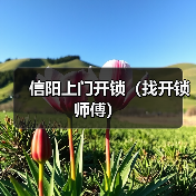 信阳上门开锁（找开锁师傅）