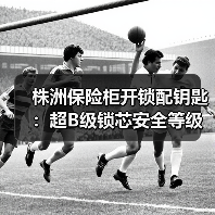 株洲保险柜开锁配钥匙：超B级锁芯安全等级解析，如何选择防撬防技术开锁？（图3）