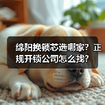 绵阳换锁芯选哪家?正规开锁公司怎么找?(图4) 绵阳换锁芯选哪家?正规开锁公司怎么找?(图4)