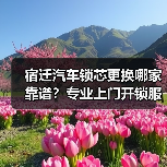 宿迁汽车锁芯更换哪家靠谱?专业上门开锁服务推荐(图4) 宿迁汽车锁芯更换哪家靠谱?专业上门开锁服务推荐(图4)