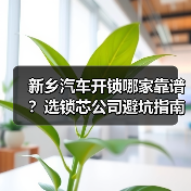 新乡汽车开锁哪家靠谱?选锁芯公司避坑指南(图2) 新乡汽车开锁哪家靠谱?选锁芯公司避坑指南(图2)