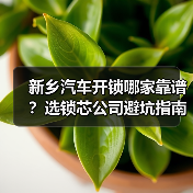 新乡汽车开锁哪家靠谱?选锁芯公司避坑指南(图3) 新乡汽车开锁哪家靠谱?选锁芯公司避坑指南(图3)
