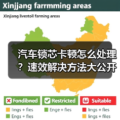 汽车锁芯卡顿怎么处理？速效解决方法大公开（图2）