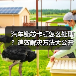 汽车锁芯卡顿怎么处理？速效解决方法大公开（图1）