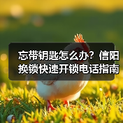 忘带钥匙怎么办?信阳换锁快速开锁电话指南(图3) 忘带钥匙怎么办?信阳换锁快速开锁电话指南(图3)
