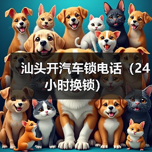 汕头开汽车锁电话（24小时换锁）（图2）