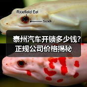 泰州汽车开锁多少钱?正规公司价格揭秘(图2) 泰州汽车开锁多少钱?正规公司价格揭秘(图2)