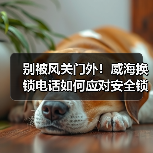别被风关门外!威海换锁电话如何应对安全锁具隐患?(图3) 别被风关门外!威海换锁电话如何应对安全锁具隐患?(图3)