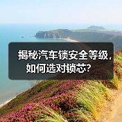 揭秘汽车锁安全等级,如何选对锁芯?(图3) 揭秘汽车锁安全等级,如何选对锁芯?(图3)