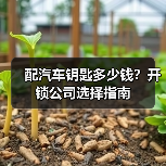 配汽车钥匙多少钱?开锁公司选择指南(图2) 配汽车钥匙多少钱?开锁公司选择指南(图2)